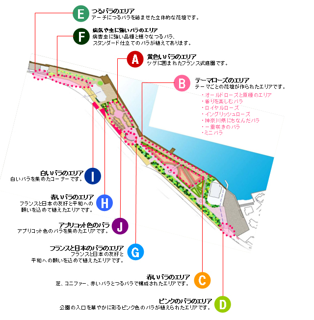 ヴェルニー公園（横須賀市）バラ園 マップ