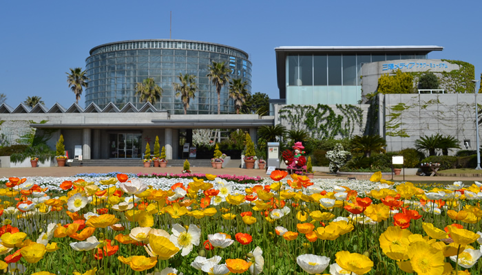 三陽メディアフラワーミュージアム 千葉市花の美術館 庭園 花ガーデン Tokyoおでかけガイド