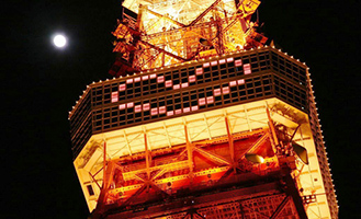 「東京タワー クリスマス・ライトダウンストーリー」