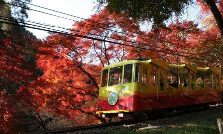 紅葉の中を走るケーブルカー