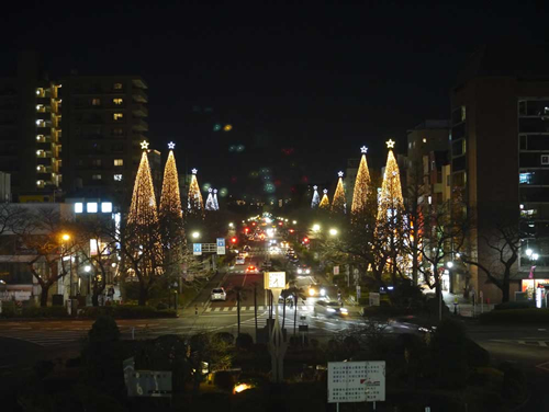 一橋大学を中心とした国立駅前の「大学通り」。駅からまっすぐ伸びる道がロマンチックです。