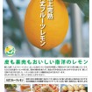 大きさ3倍の「八丈フルーツレモン」がデビュー!八丈島の新ブランドとして12/下から販売開始