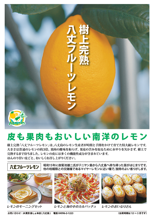 大きさ3倍の「八丈フルーツレモン」がデビュー!八丈島の新ブランドとして12/下から販売開始