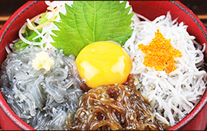 前回5位の「湘南しらすの小田原三色丼」小田原どん 魚河岸でん (神奈川県)