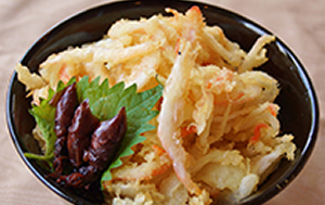 「富山湾白エビかき揚ごっつぉ丼」道の駅新湊(富山県)