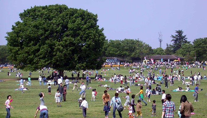 国営昭和記念公園