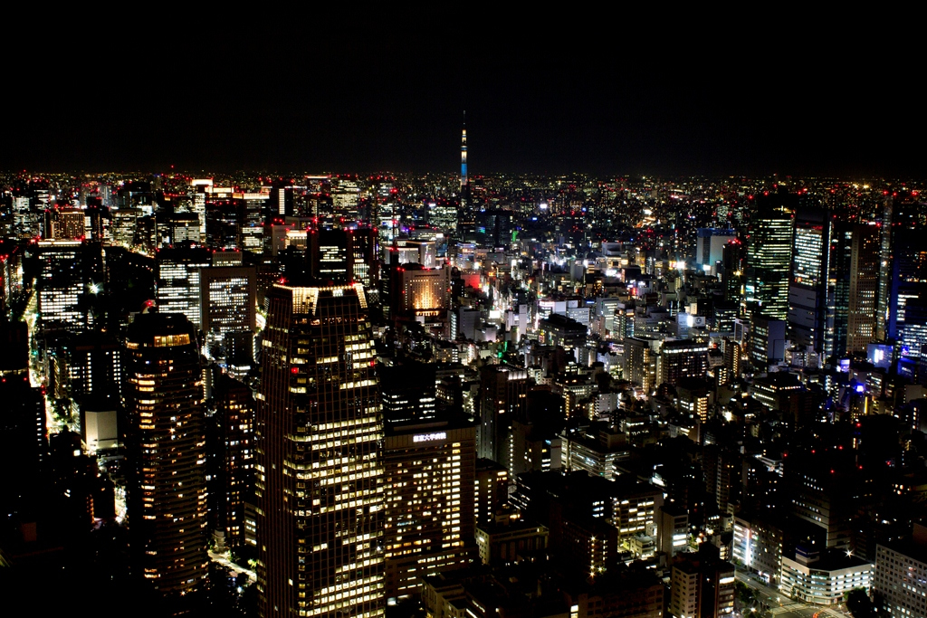展望台からの夜景 スカイツリーが見える