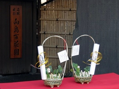 新春を彩る風物詩 向島百花園で「春の七草籠の展示」