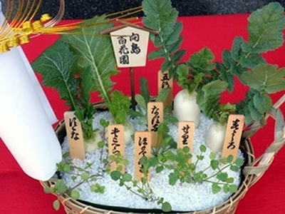 献上七草籠