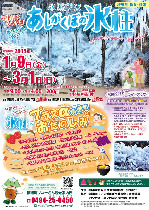 あしがくぼの氷柱