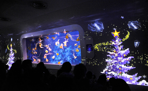 クラゲショー「海月の宇宙」