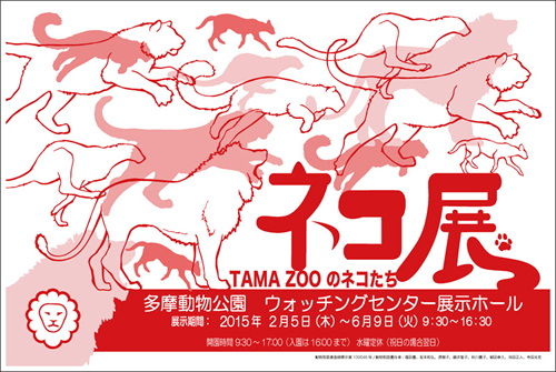 「ネコ展-TAMA ZOOのネコたち」ポスター 画像:東京都報道資料