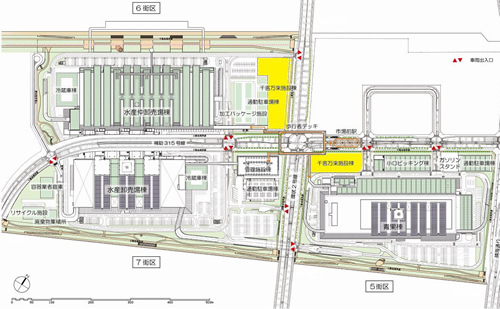 豊洲新市場 敷地レイアウト