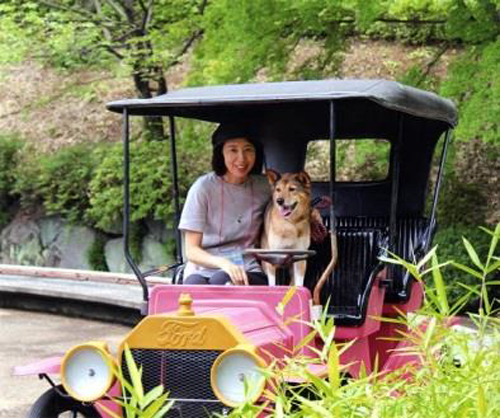 ペット同伴可 愛犬と一緒にゆうえんちの乗り物などを楽しめるイベント「ワン!ダフルゆうえんち」