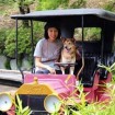 愛犬も一緒に入園!西武園ゆうえんちの「ワン!ダフルゆうえんち&イルミ」