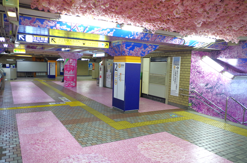 艶やかな桜の装飾