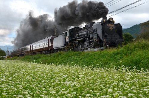 秩父鉄道「熊谷駅」から「三峰口駅」までを1日1往復運転、全区間乗車すると片道約2時間40分のゆっくりとした汽車旅を楽しめる