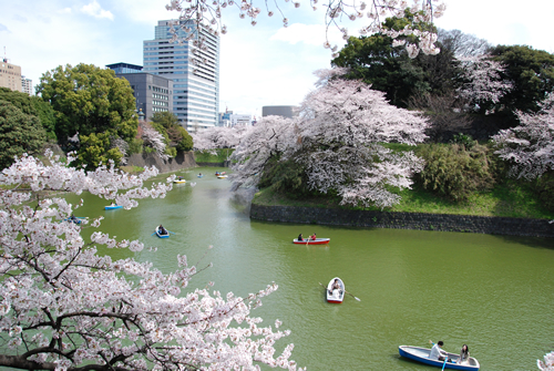 「2015年 千代田のさくらまつり」が2015年3月27日(金)~4月5日(日)の10日間実施