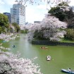 都内随一の桜の名所・千鳥ヶ淵緑道、夜のライトアップも絶景「千代田のさくらまつり」が3月27日(金)から