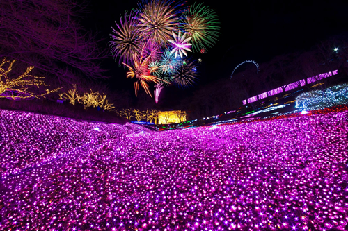 「夜桜花火」は桜色の特製花火は必見。3月21日(土)の19時から山頂エリアにて打ち上げ