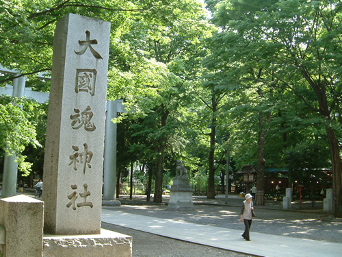 参道沿いの見事なケヤキ並木
