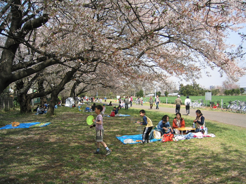 のんびりと散策する人、お弁当を広げる家族連れなどで賑わう。