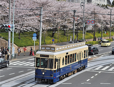 都電さくら号 画像:東京都報道資料