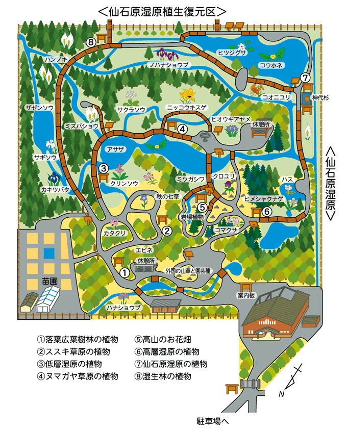 箱根湿生花園 マップ