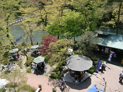 澤乃井園 多摩川のほとりにある美しい庭園