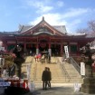 日本三大不動の一つ「目黒不動尊」の桜も満開に