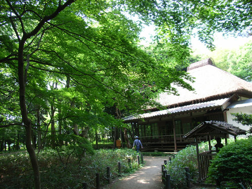 蘆花恒春園 明治・大正期の文豪徳冨蘆花の邸宅。武蔵野の面影を偲ばせる閑静な庭園