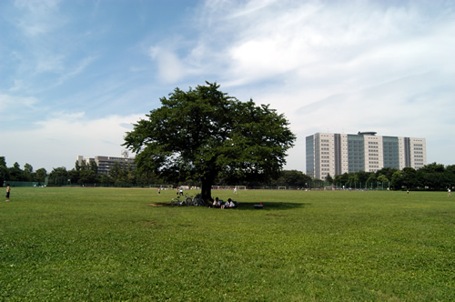 都立武蔵野中央公園