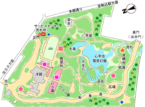 旧古河庭園 園内マップ