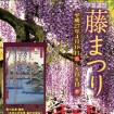 東京一の藤の名所!亀戸天神社の「藤まつり」が4/18~5/6まで開催 幽玄なライトアップも