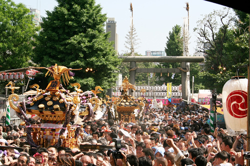 5月16日昼過ぎから、浅草氏子44ヶ町の町内神輿約100基による「町内神輿連合渡御」が始まる