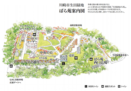 生田緑地ばら苑 苑内マップ