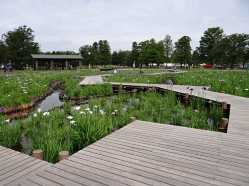 「水元公園」