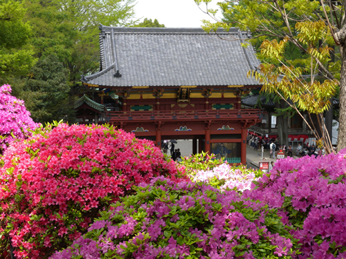 神社境内にある約2,000坪のつつじ苑