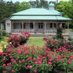 バラに囲まれた八幡山の洋館で「春のバラフェスタ」を5/23(土)、24(日)に開催