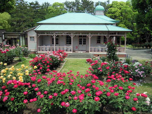 バラに囲まれた八幡山の洋館で「春のバラフェスタ」を5/23(土)、24(日)に開催