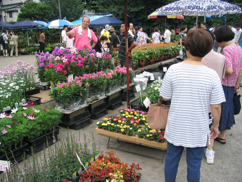 初夏の園芸も販売