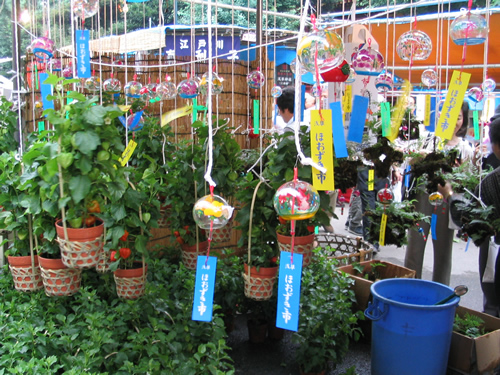 夏に欠かせない風鈴も売られている