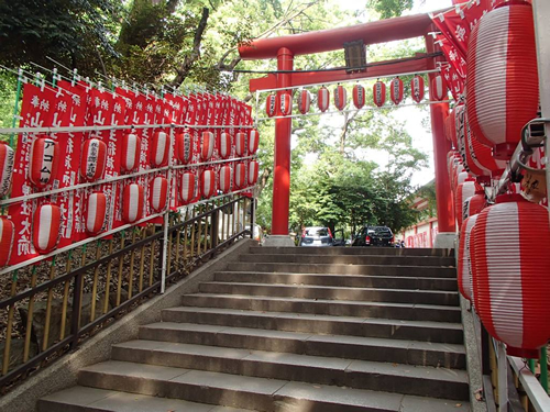 山王まつり献灯祭にあたり、境内各所に提灯を設置