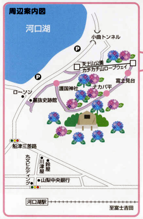 頂上から約40分のお手軽ハイキングコース
