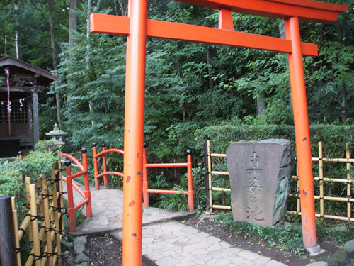 お鷹の道・真姿の池