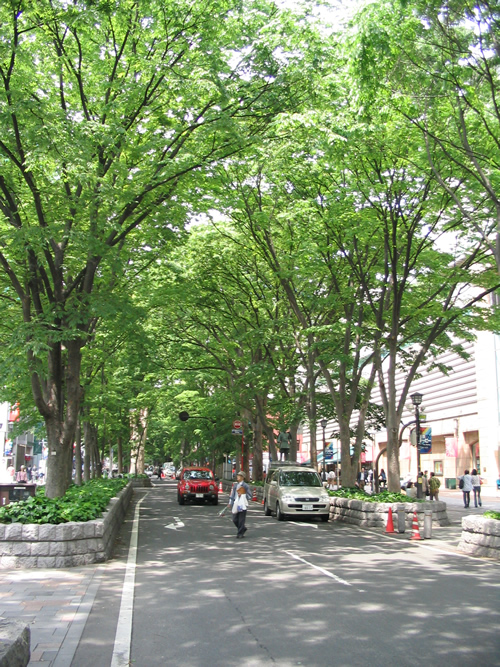 府中市の「馬場大門けやき並木」
