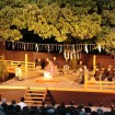 観客を幽玄の世界へと誘う 氷川神社の「第34回大宮薪能」が5月22日、23日に開催