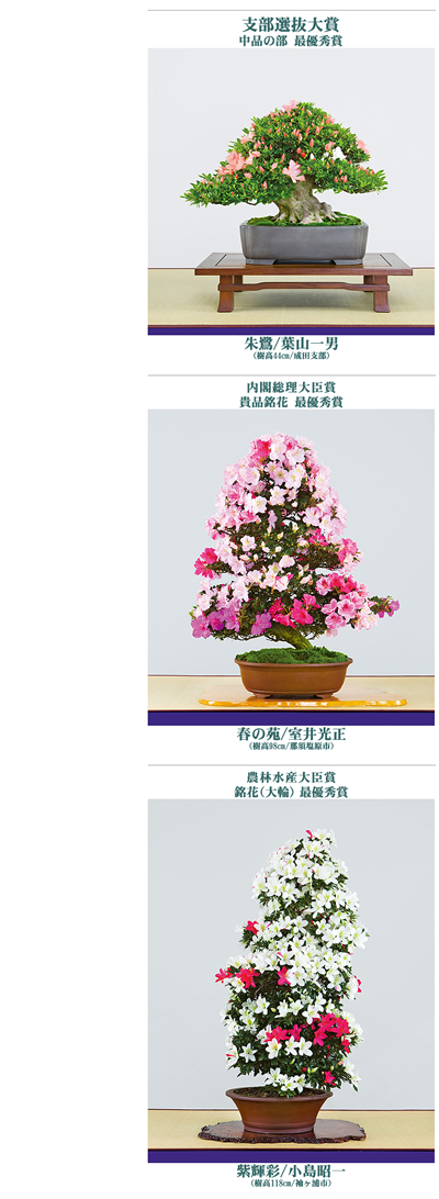 昨年の受賞作品 画像:公式サイト