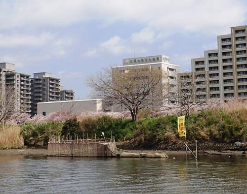 多摩川下流に設置した定置網