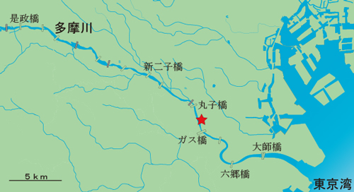 調査地点(大田区下丸子 4 丁目付近)